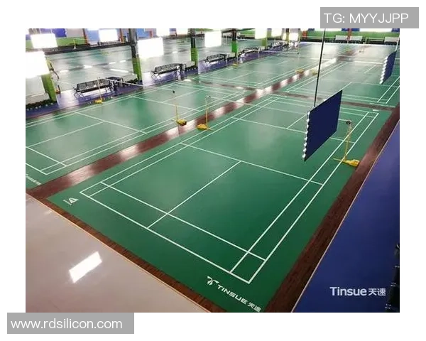 西安羽毛球队区域防守策略解析与深度剖析