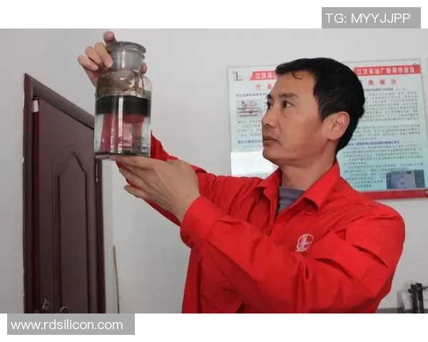 重庆篮球队整体压制革新之路探索与未来展望